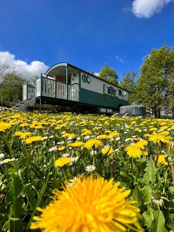 Farm stay Les Perouilles - La Roulotte Climatisee Avec Jacuzzi De Josepha Puymiclan